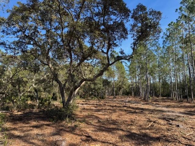 11901 NE 150TH AVE RD, FORT MC COY, FL, 32134