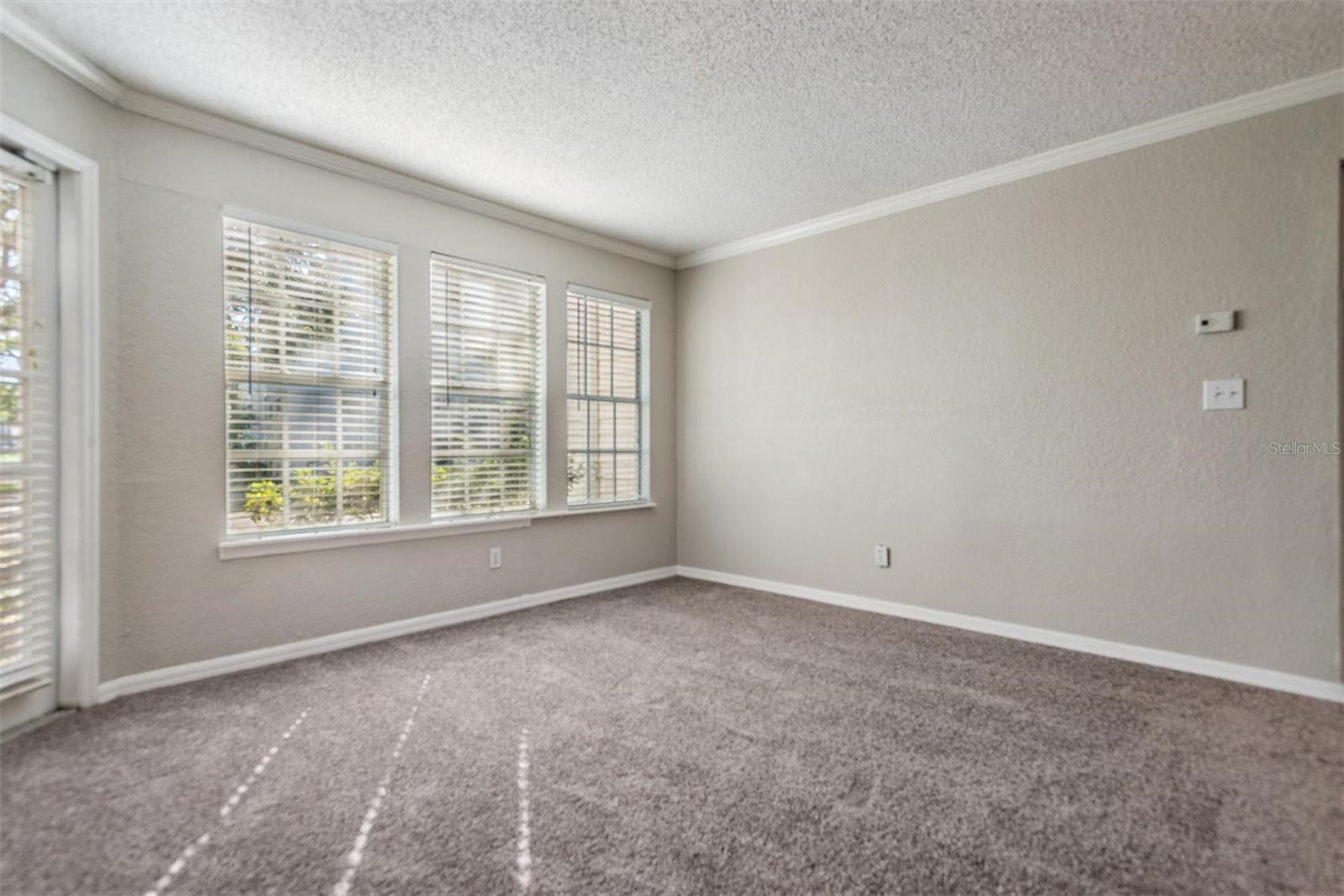 3270 HAVILAND CT #101, PALM HARBOR, FL, 34684