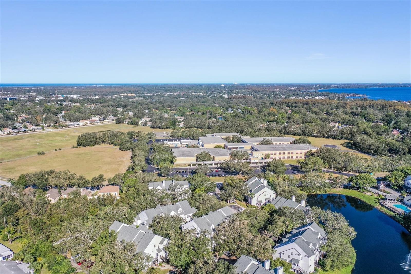 3270 HAVILAND CT #101, PALM HARBOR, FL, 34684