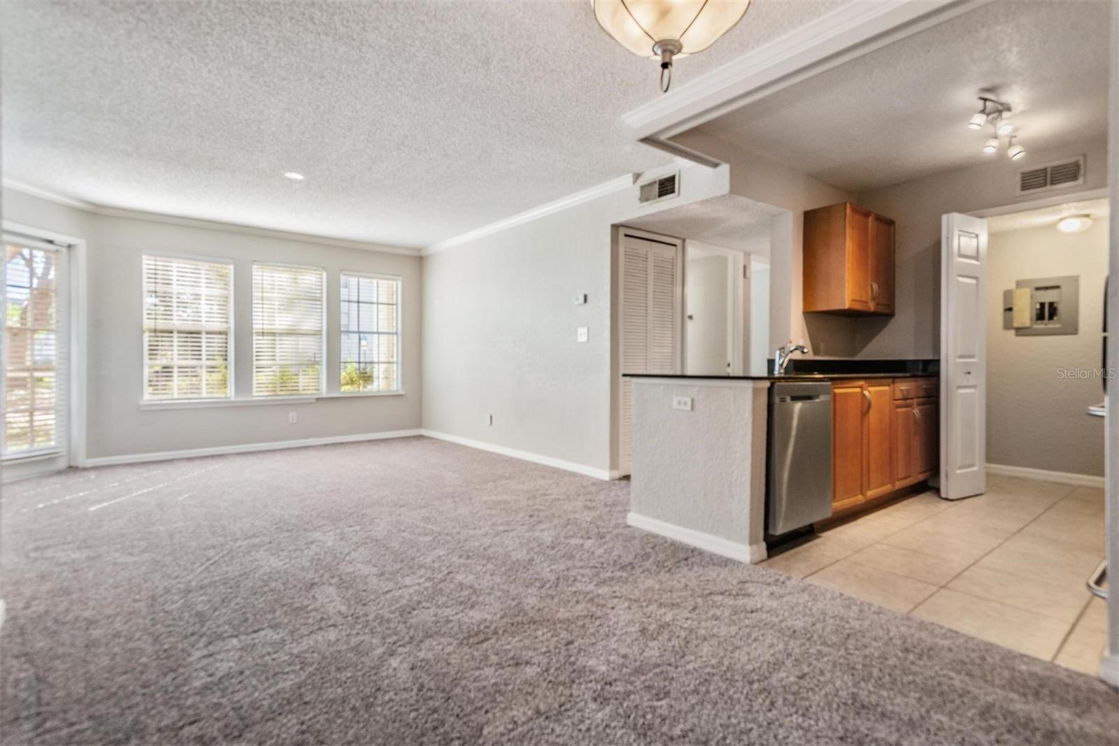 3270 HAVILAND CT #101, PALM HARBOR, FL, 34684