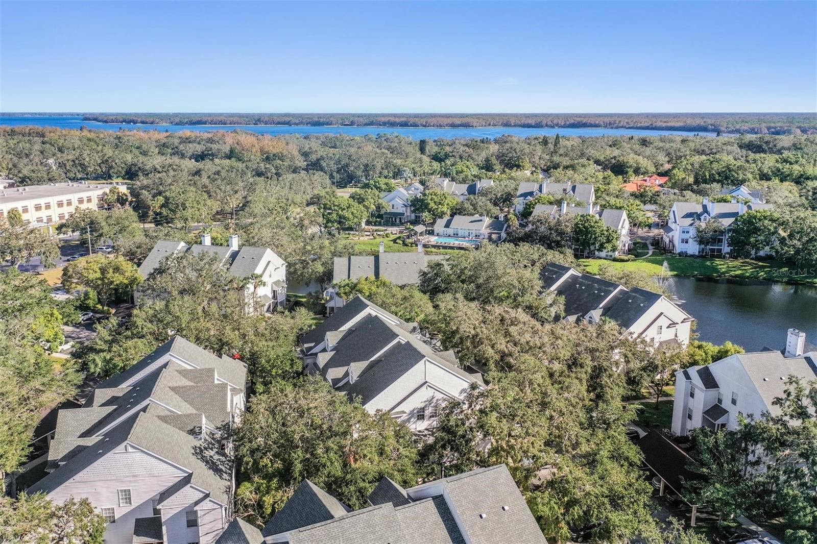 3270 HAVILAND CT #101, PALM HARBOR, FL, 34684