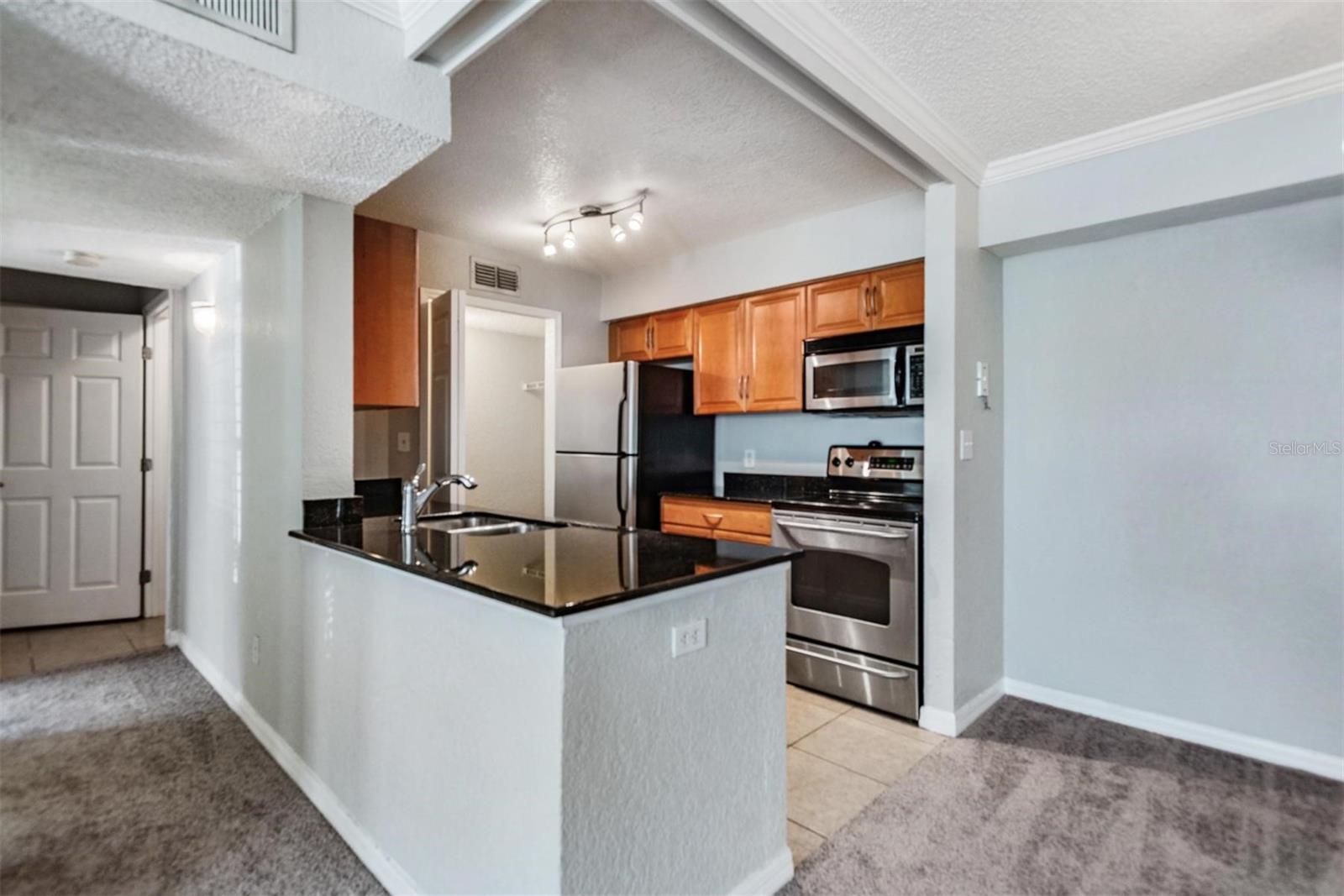 3270 HAVILAND CT #101, PALM HARBOR, FL, 34684