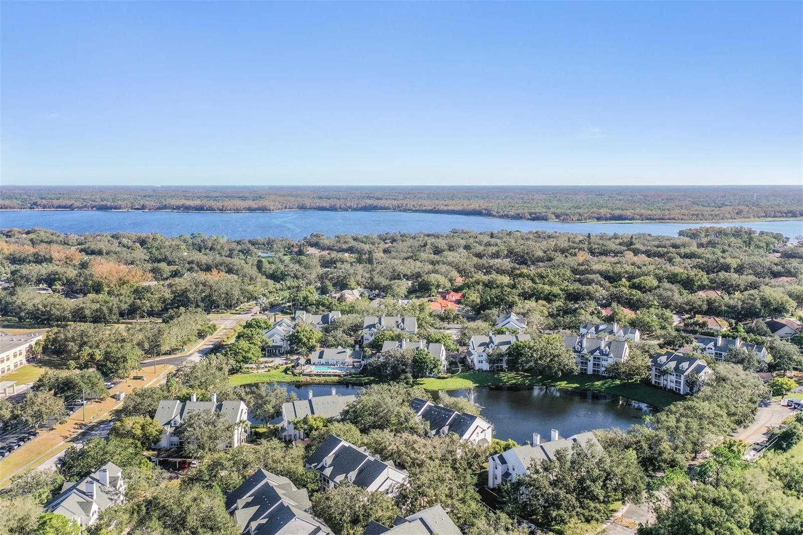 3270 HAVILAND CT #101, PALM HARBOR, FL, 34684