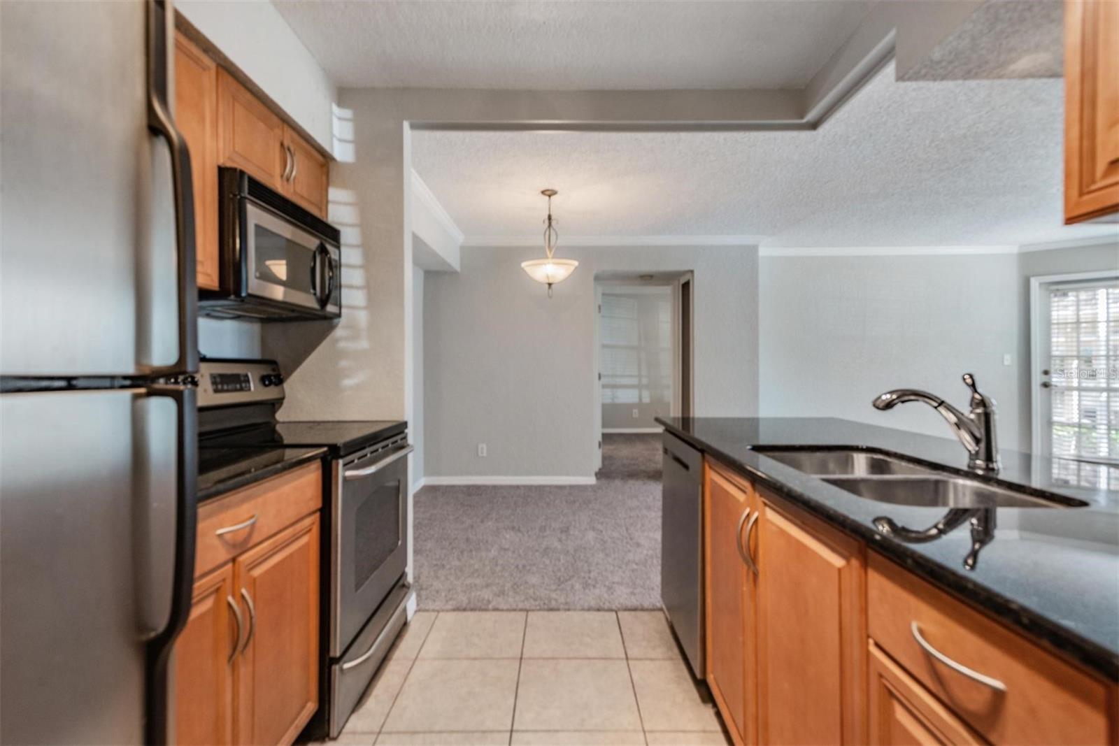 3270 HAVILAND CT #101, PALM HARBOR, FL, 34684