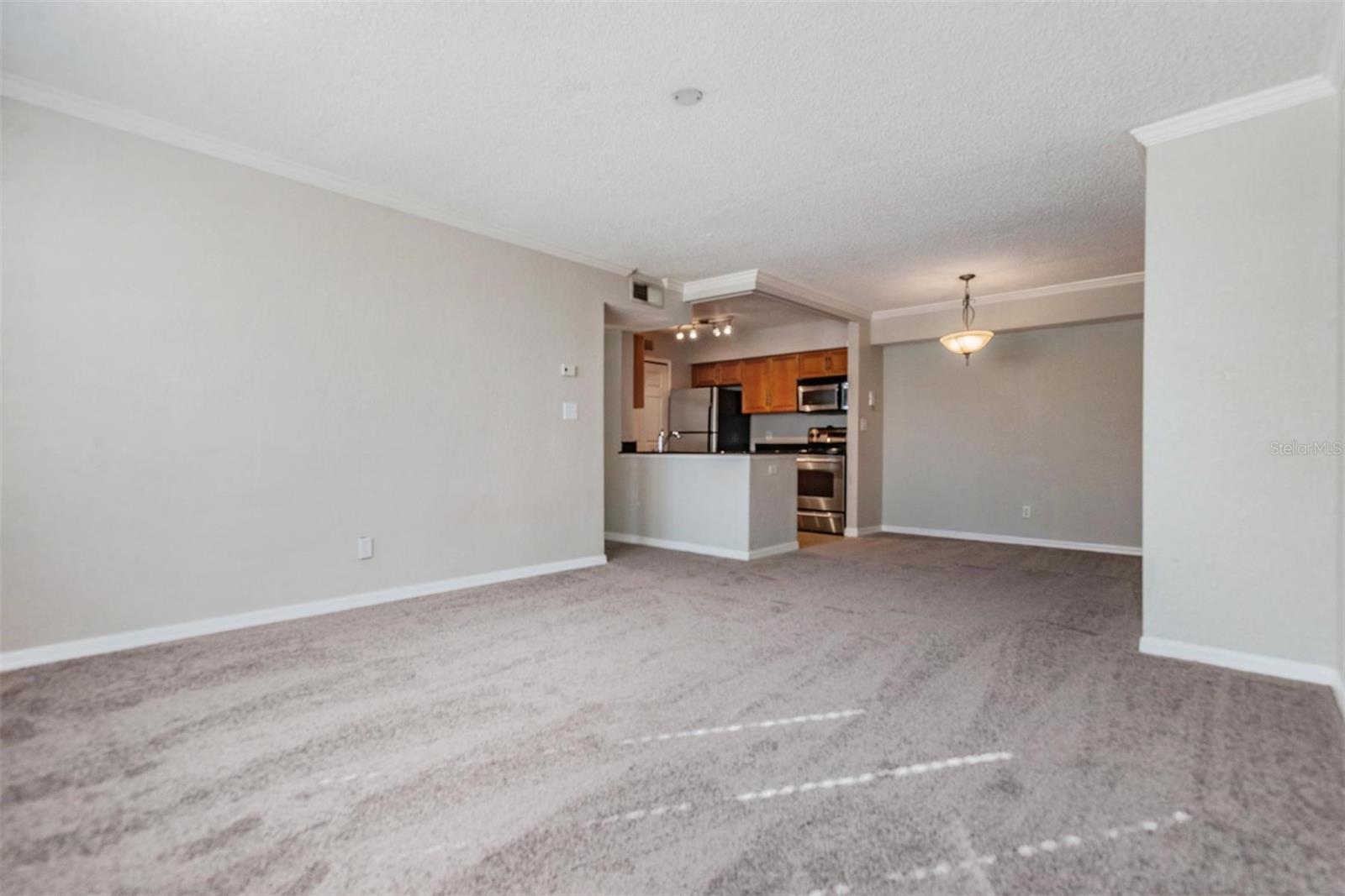 3270 HAVILAND CT #101, PALM HARBOR, FL, 34684