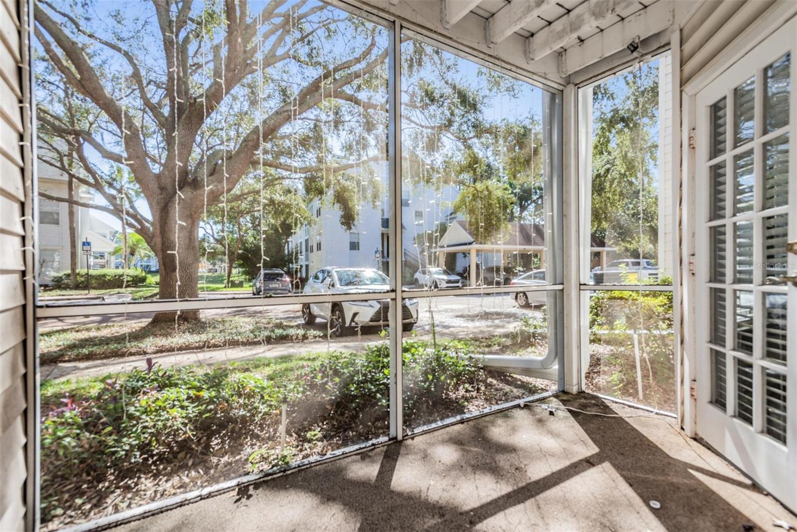 3270 HAVILAND CT #101, PALM HARBOR, FL, 34684