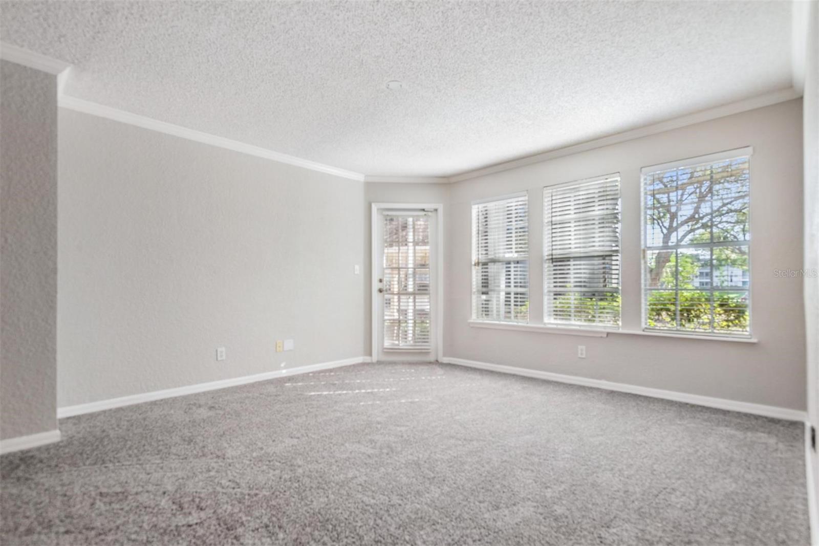 3270 HAVILAND CT #101, PALM HARBOR, FL, 34684