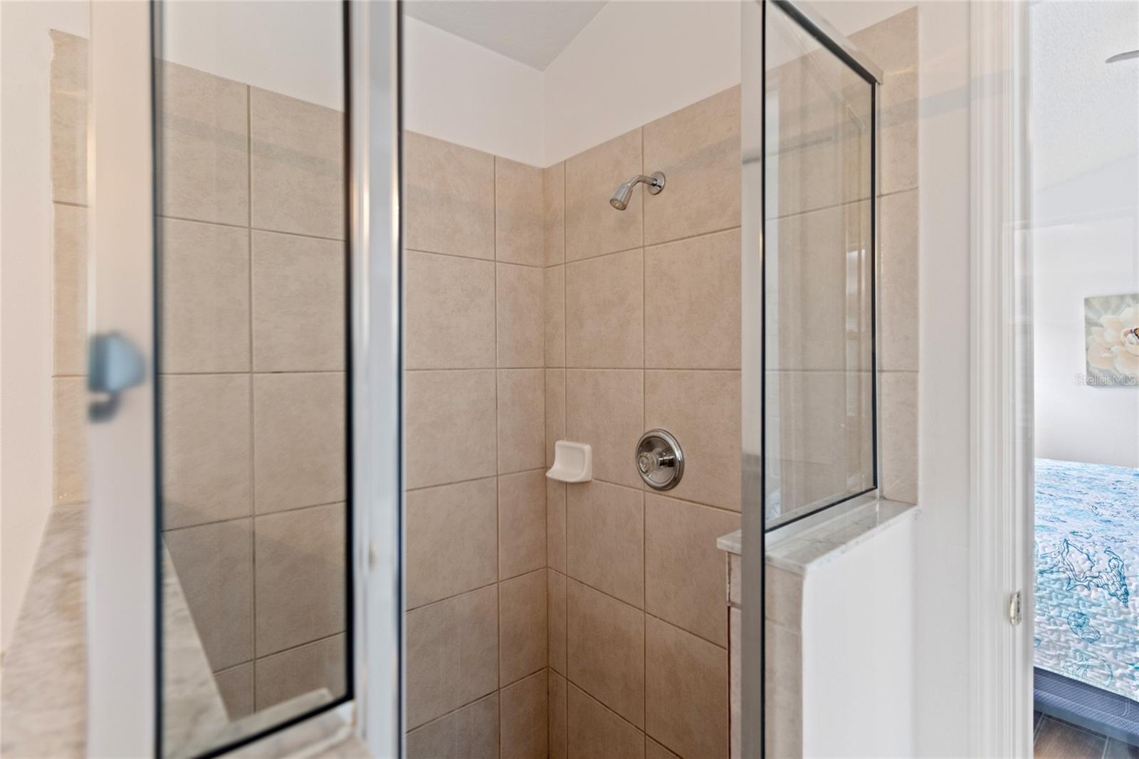 246 KIMBERLY POINT DR, DAVENPORT, FL, 33837