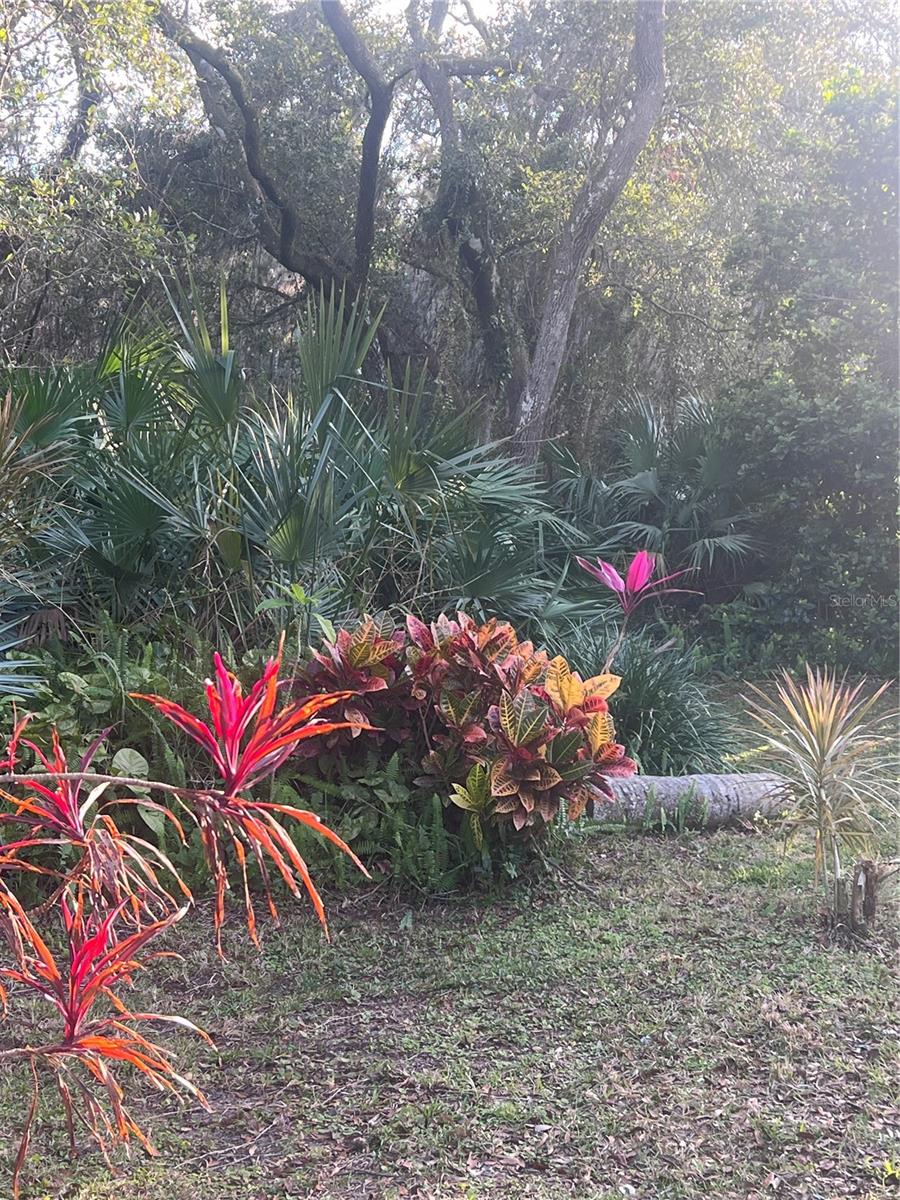 6110 EVERGLADES DR, PORT ORANGE, FL, 32127