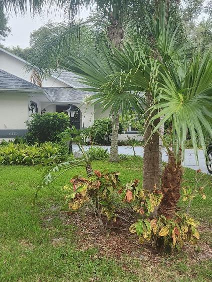 6110 EVERGLADES DR, PORT ORANGE, FL, 32127
