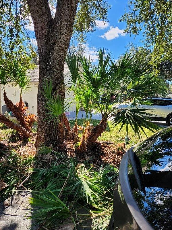 6110 EVERGLADES DR, PORT ORANGE, FL, 32127