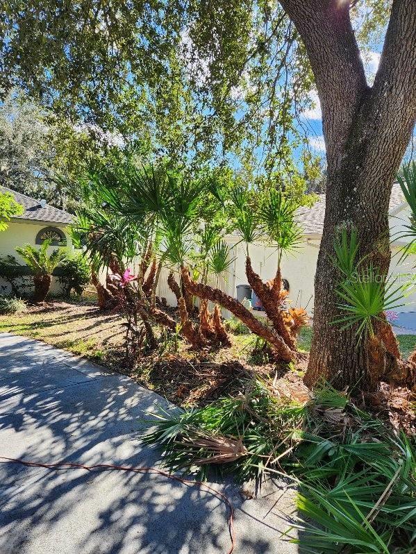 6110 EVERGLADES DR, PORT ORANGE, FL, 32127