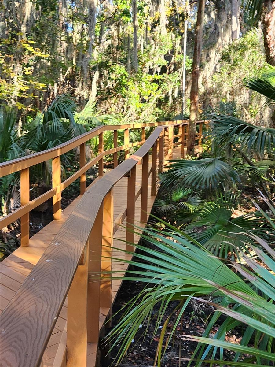 6110 EVERGLADES DR, PORT ORANGE, FL, 32127
