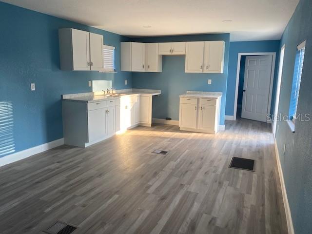 916 NW 8TH ST, MULBERRY, FL, 33860