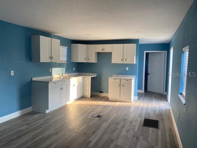 916 NW 8TH ST, MULBERRY, FL, 33860