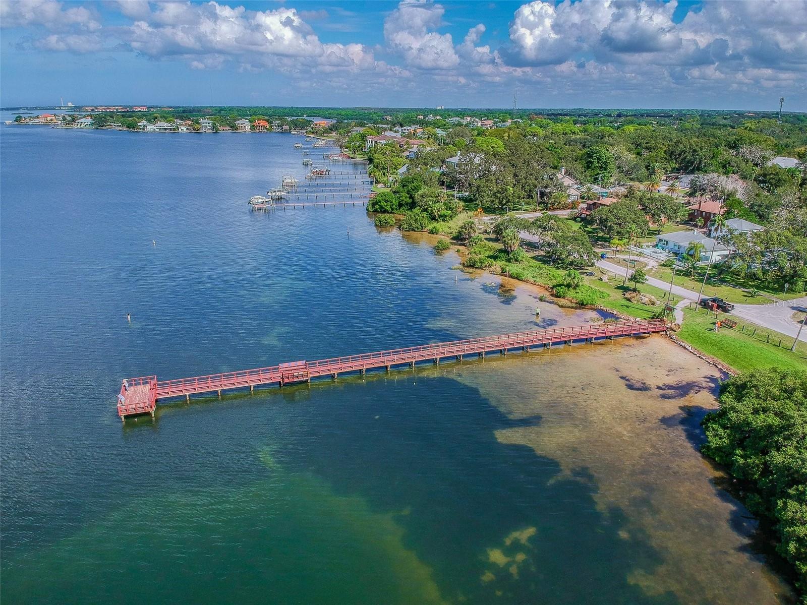 313 CRYSTAL BEACH AVE, CRYSTAL BEACH, FL, 34681