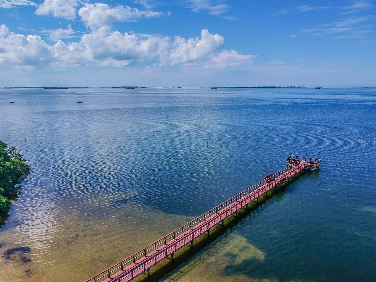 313 CRYSTAL BEACH AVE, CRYSTAL BEACH, FL, 34681