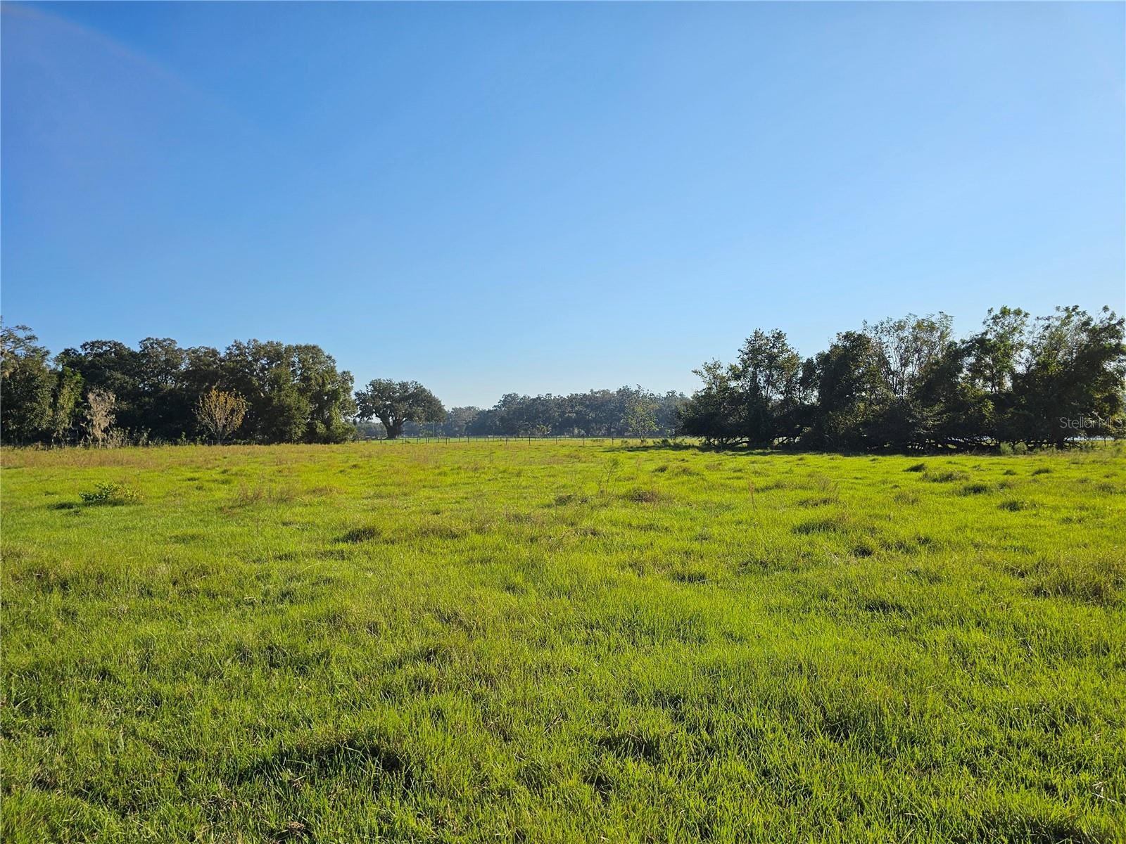 CR714, CENTER HILL, FL, 33514