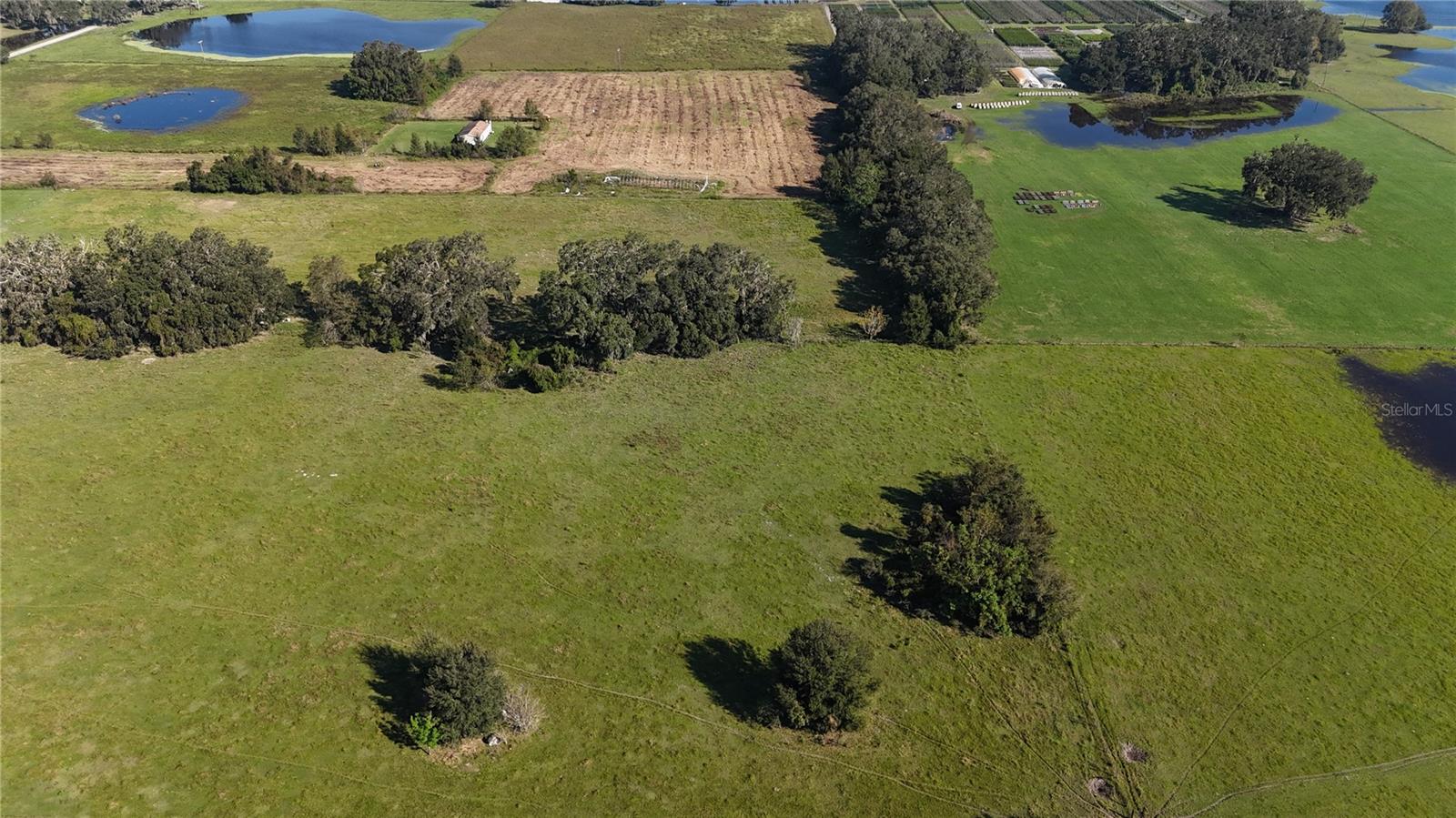 CR714, CENTER HILL, FL, 33514