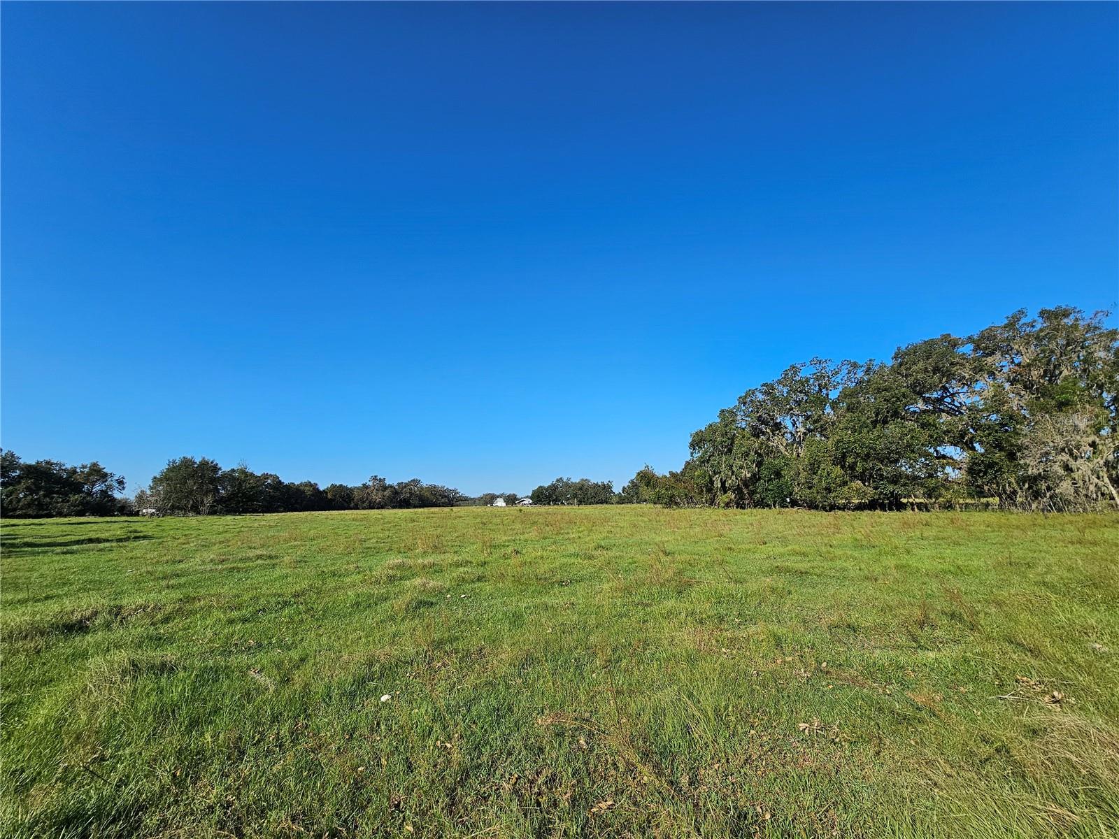 CR714, CENTER HILL, FL, 33514