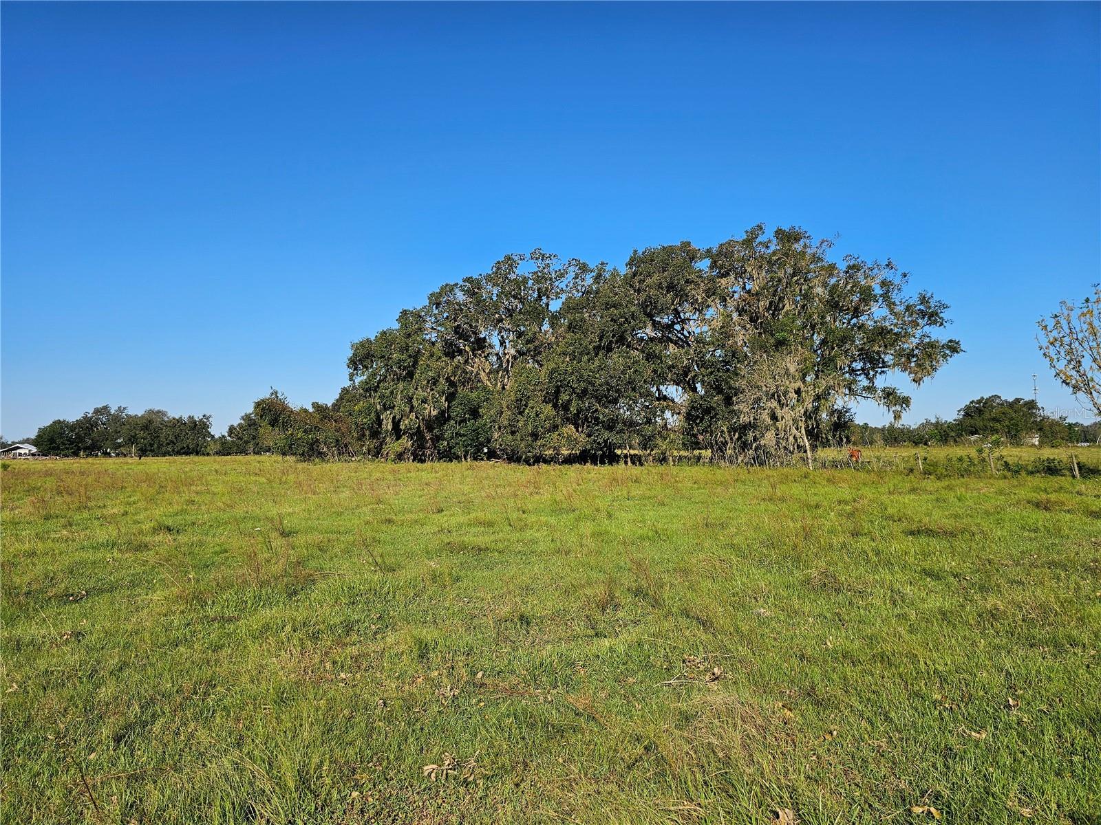 CR714, CENTER HILL, FL, 33514