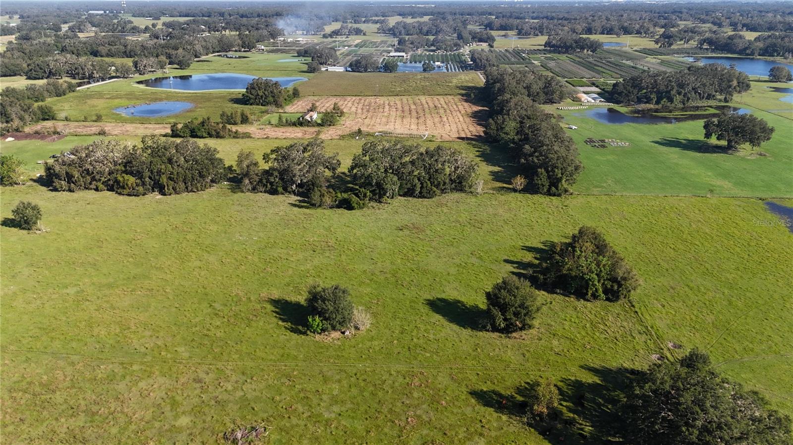 CR714, CENTER HILL, FL, 33514