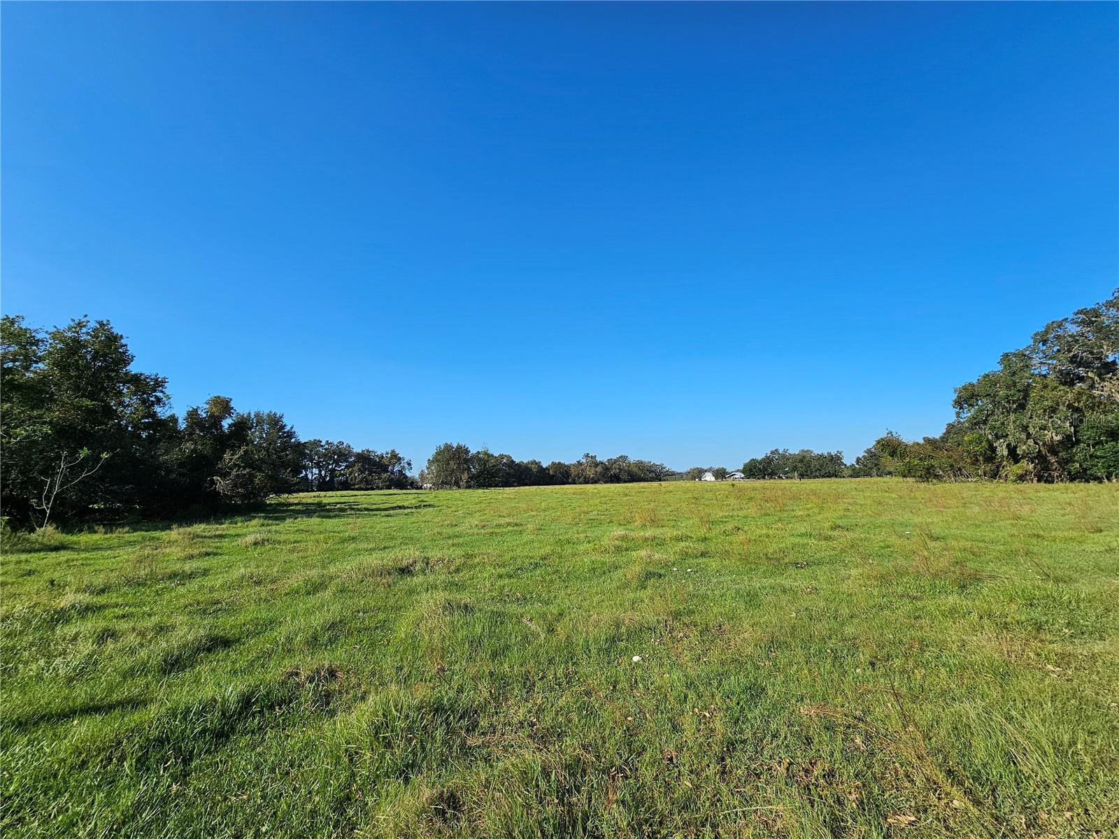 CR714, CENTER HILL, FL, 33514