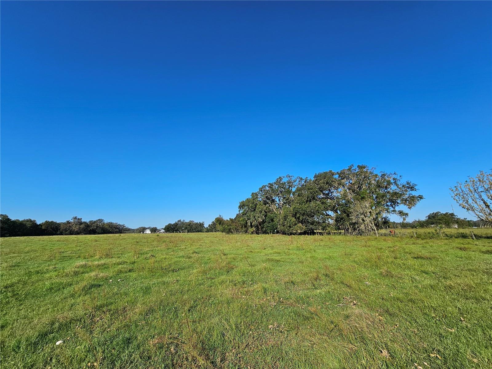 CR714, CENTER HILL, FL, 33514