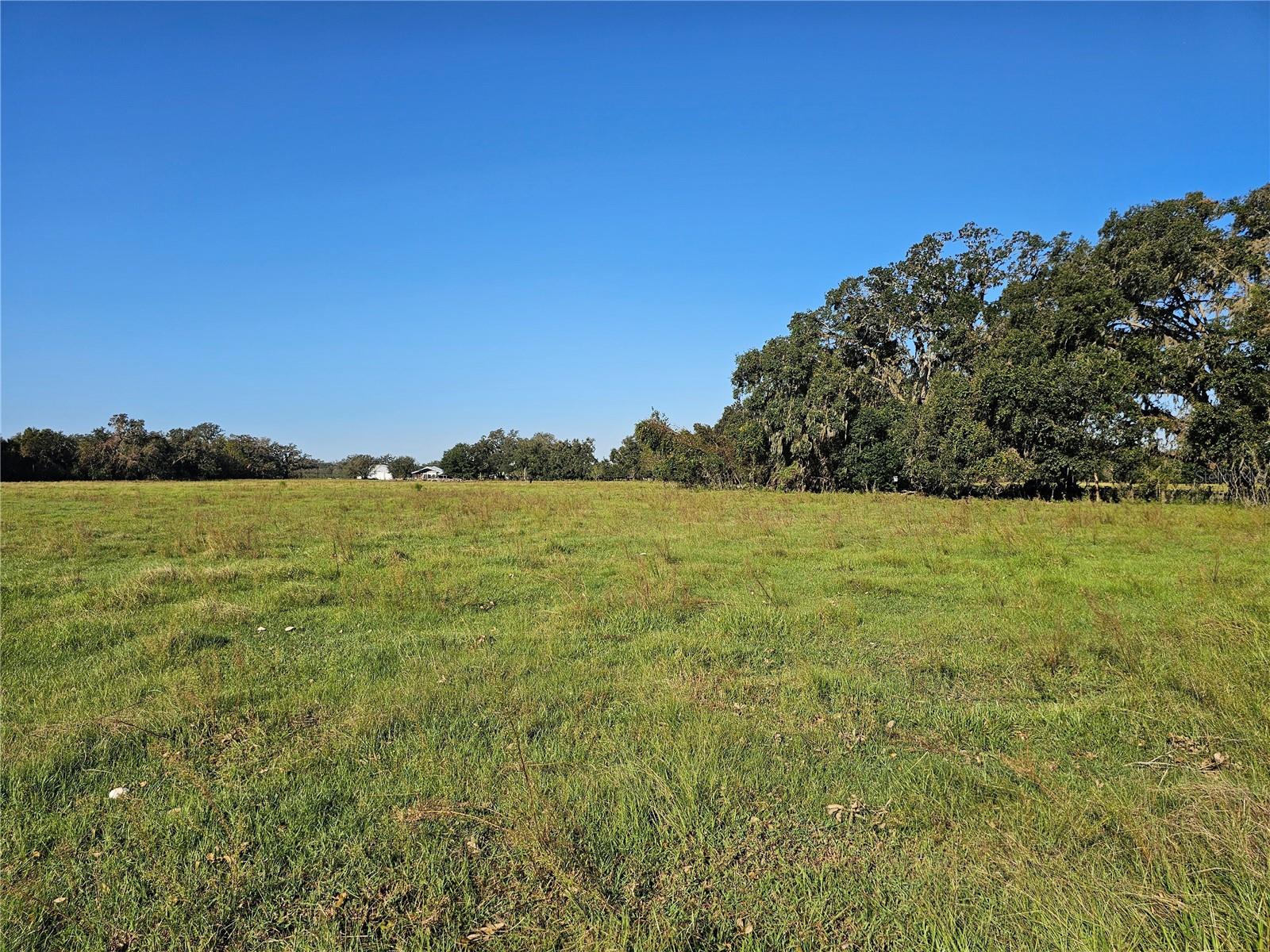 CR714, CENTER HILL, FL, 33514