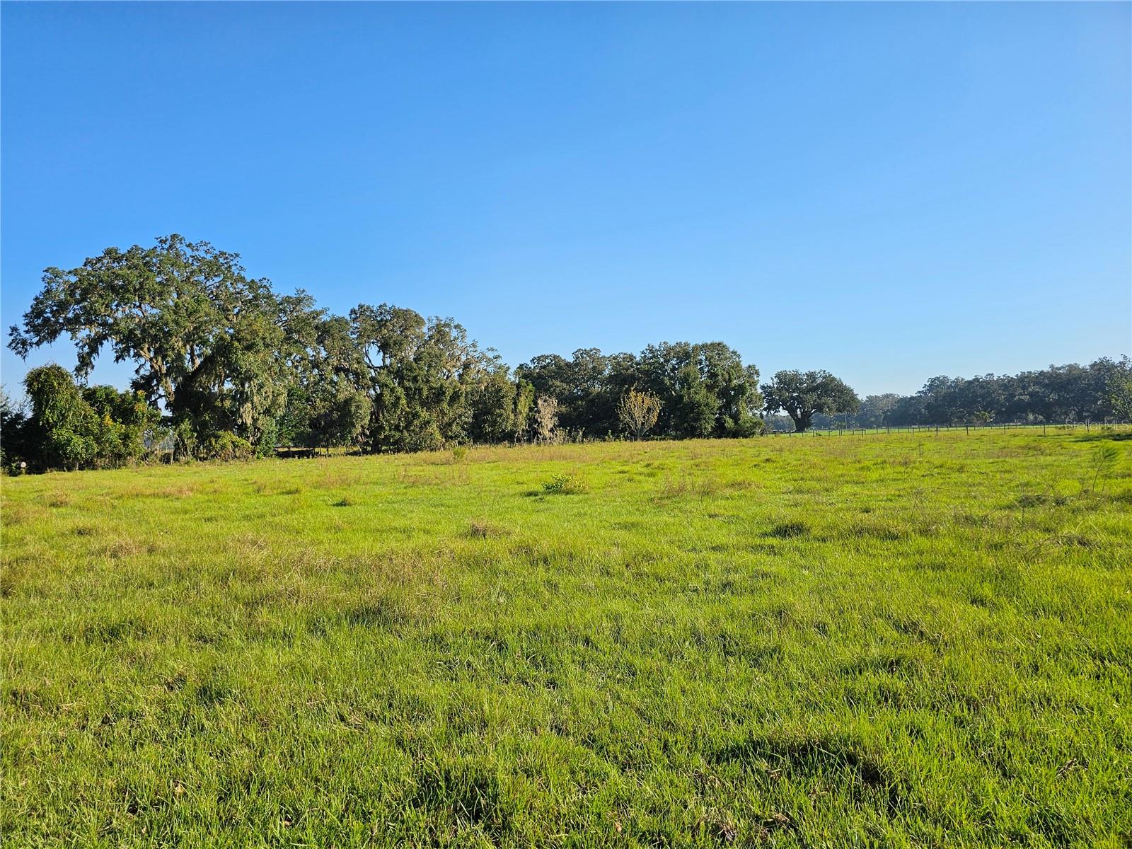 CR714, CENTER HILL, FL, 33514