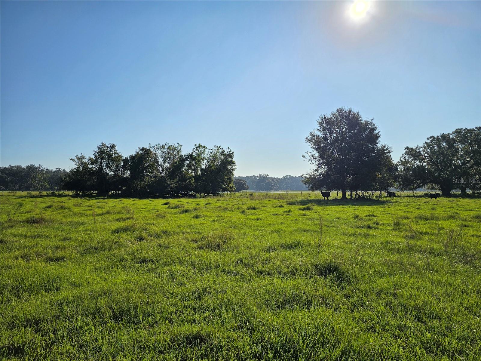 CR714, CENTER HILL, FL, 33514