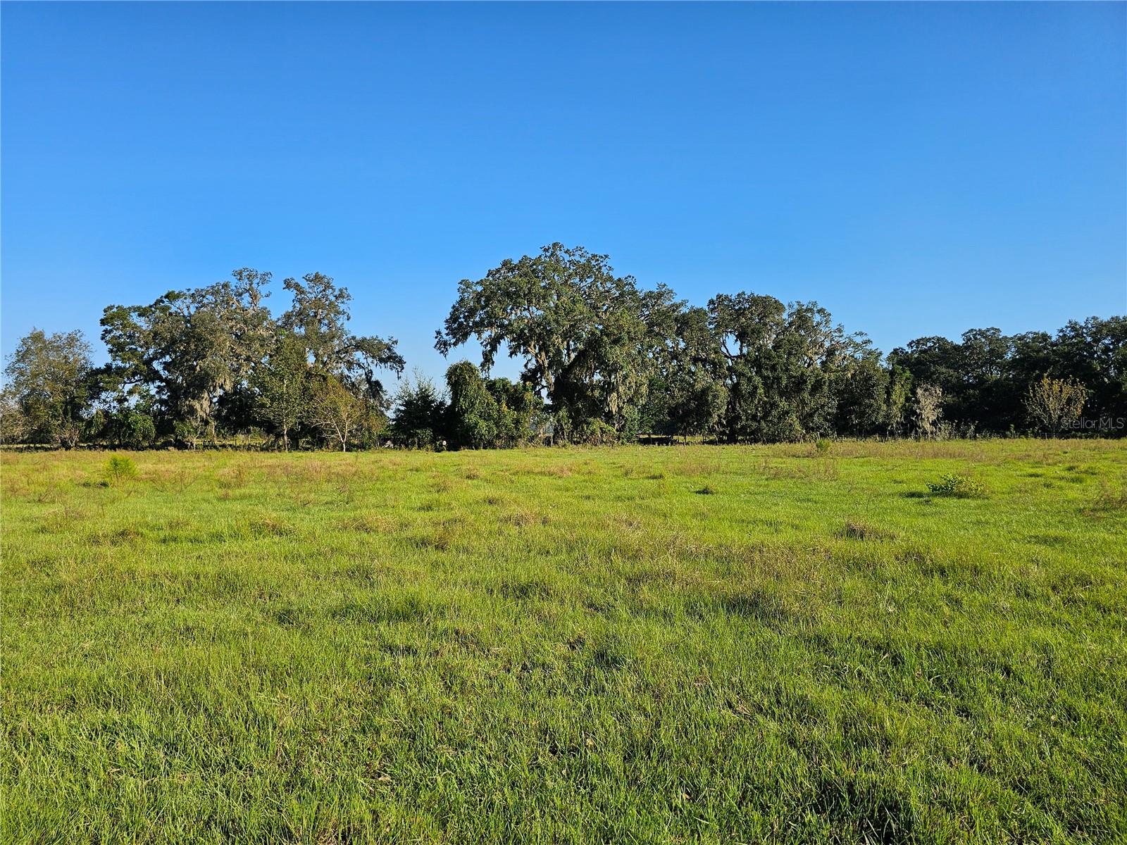 CR714, CENTER HILL, FL, 33514