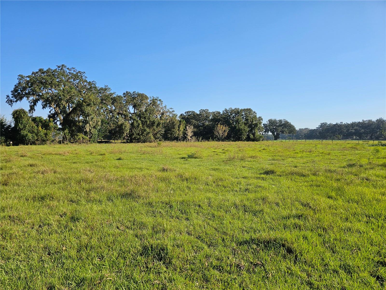 CR714, CENTER HILL, FL, 33514