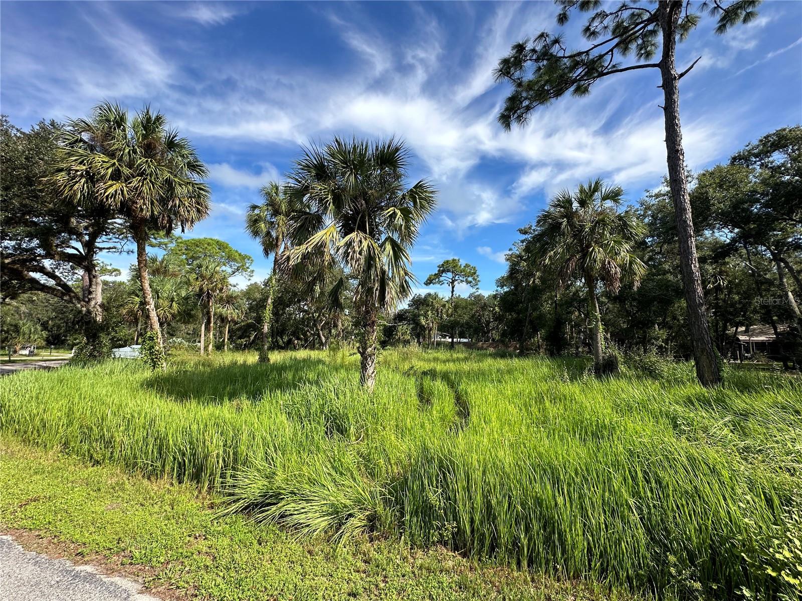 1179 MILL CREEK RD, BRADENTON, FL, 34212