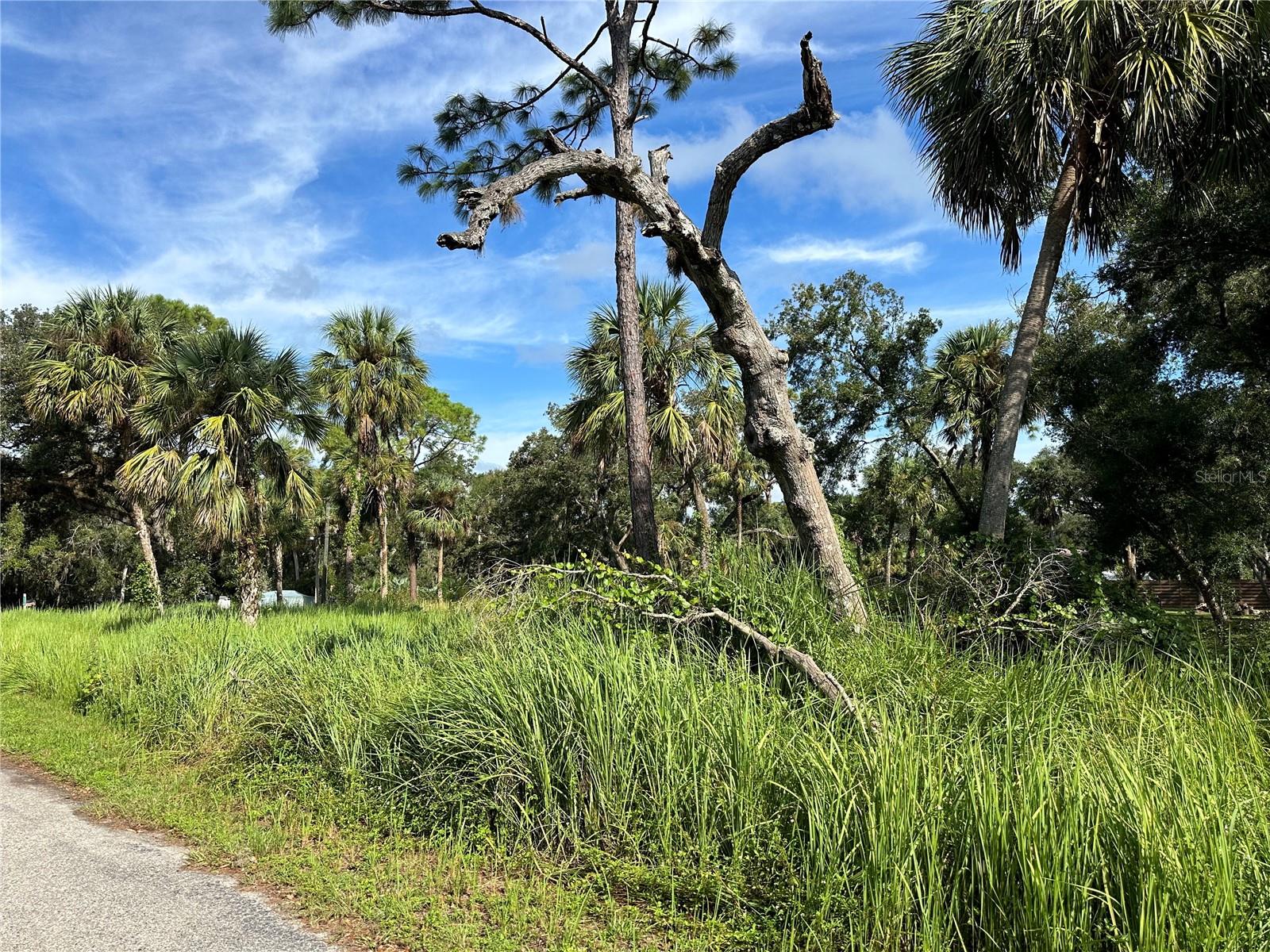 1179 MILL CREEK RD, BRADENTON, FL, 34212