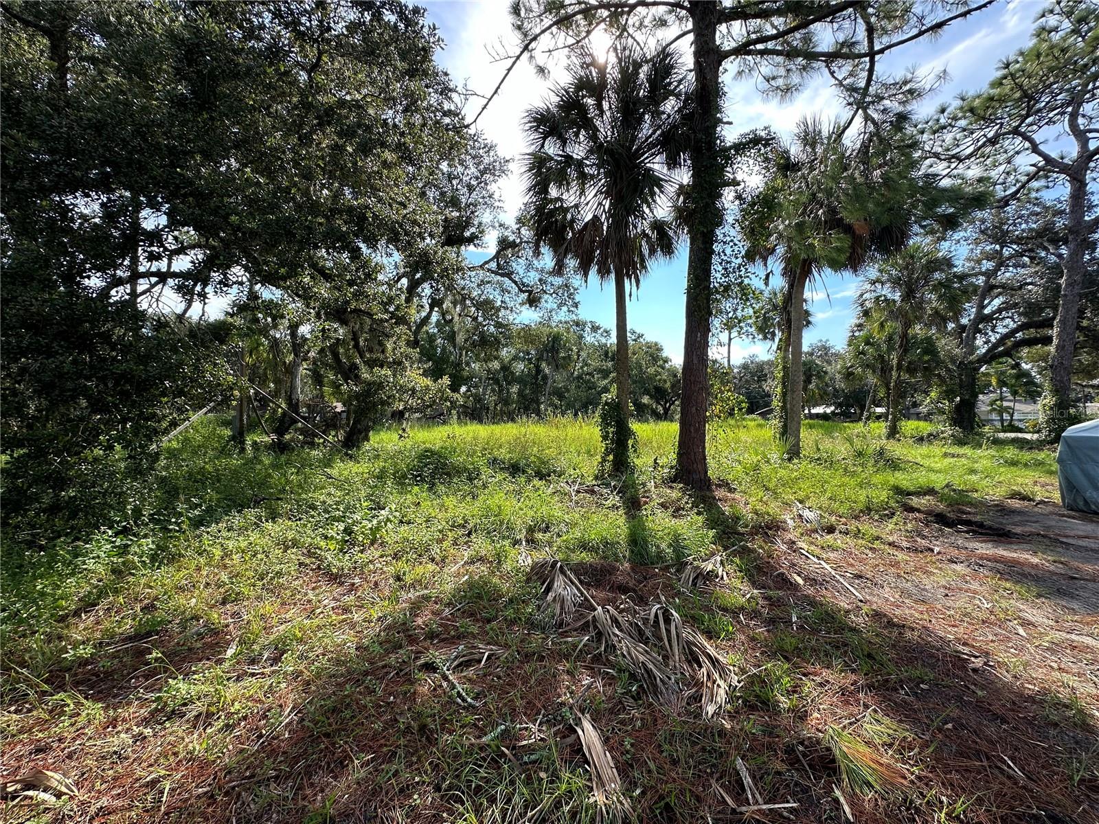 1179 MILL CREEK RD, BRADENTON, FL, 34212