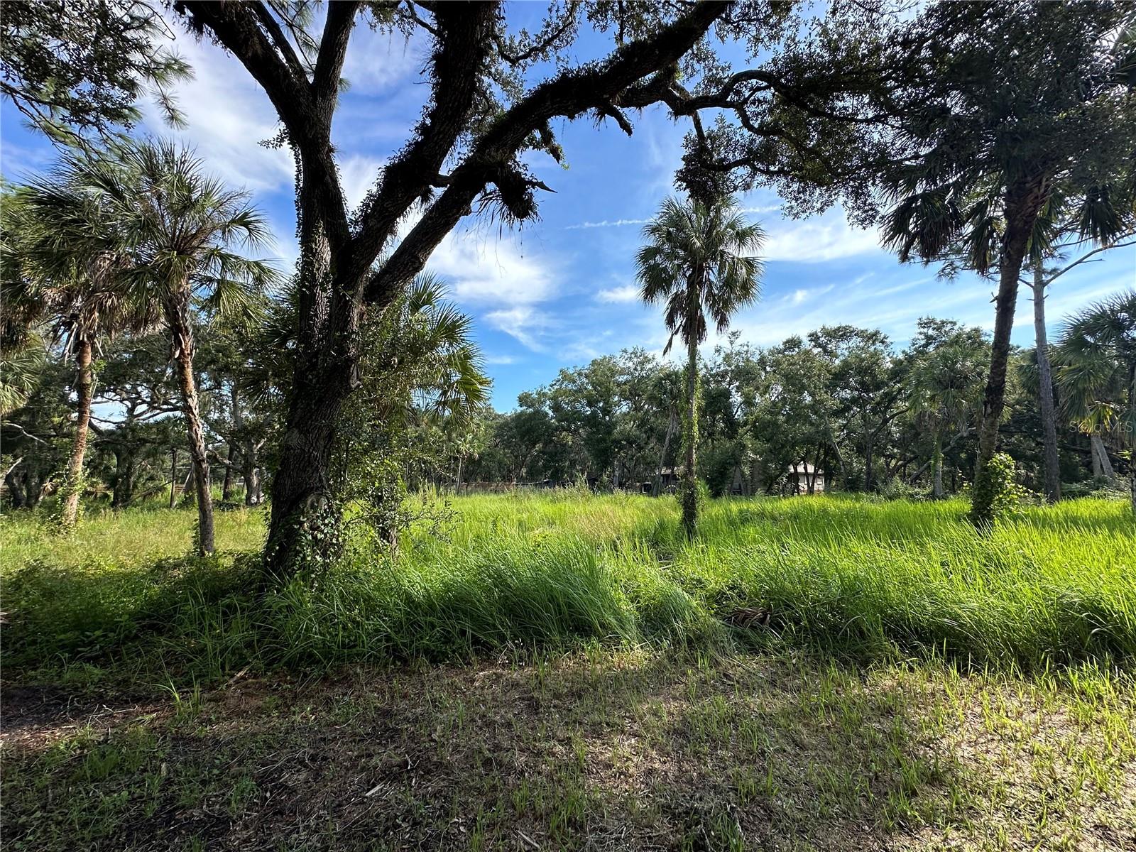 1179 MILL CREEK RD, BRADENTON, FL, 34212
