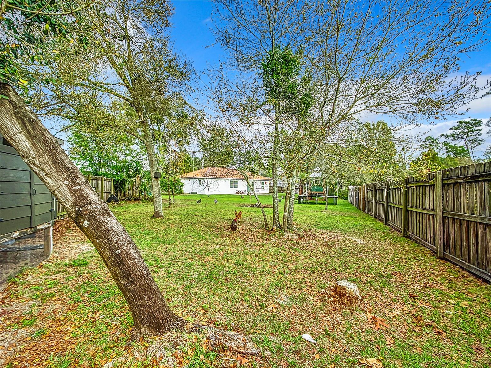 4750 SW 95TH LN, OCALA, FL, 34476