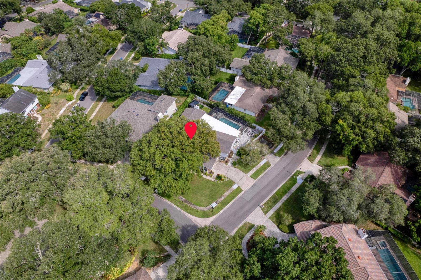 2007 MAGDALENE MANOR DR, TAMPA, FL, 33613