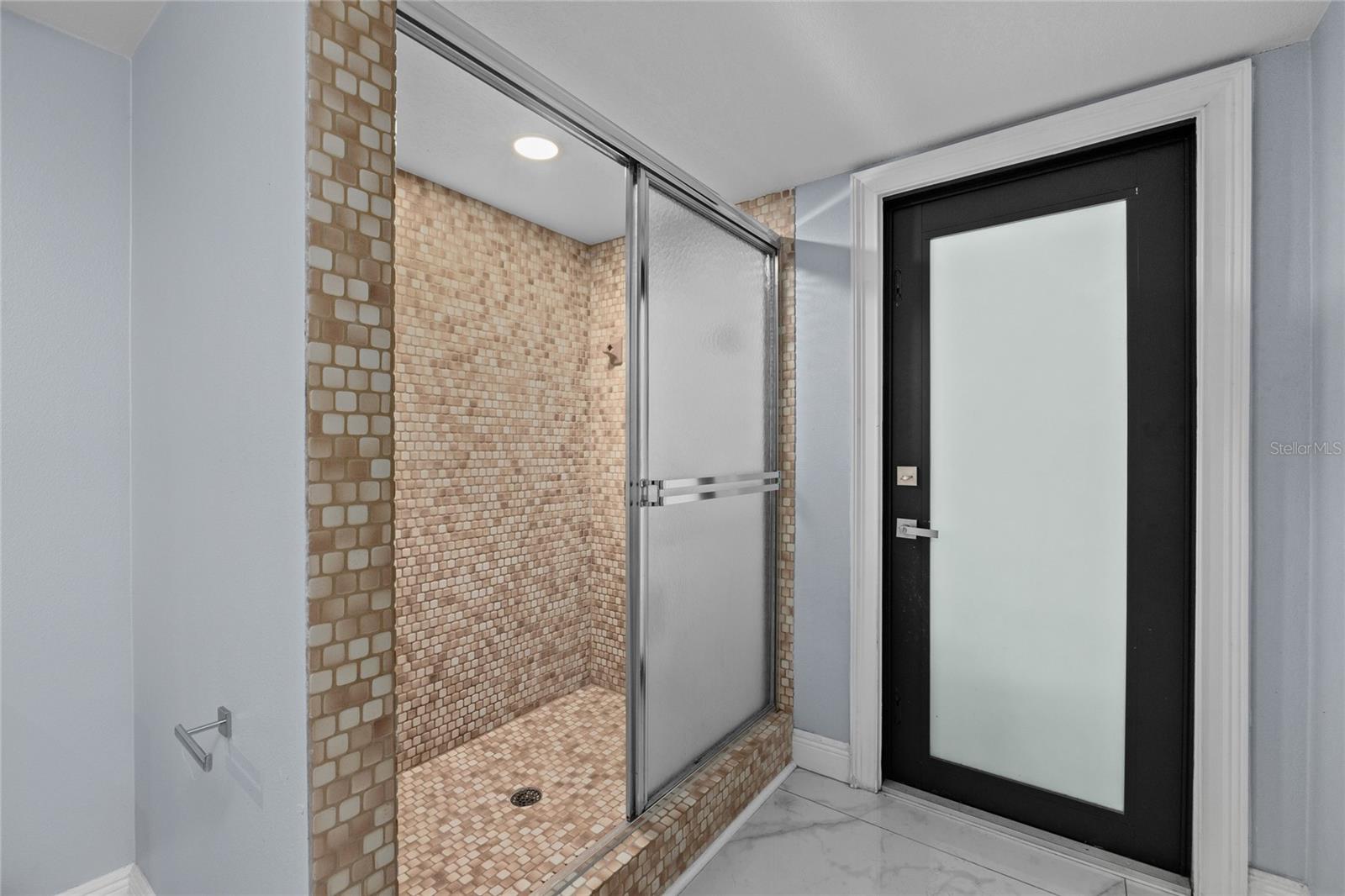 2007 MAGDALENE MANOR DR, TAMPA, FL, 33613