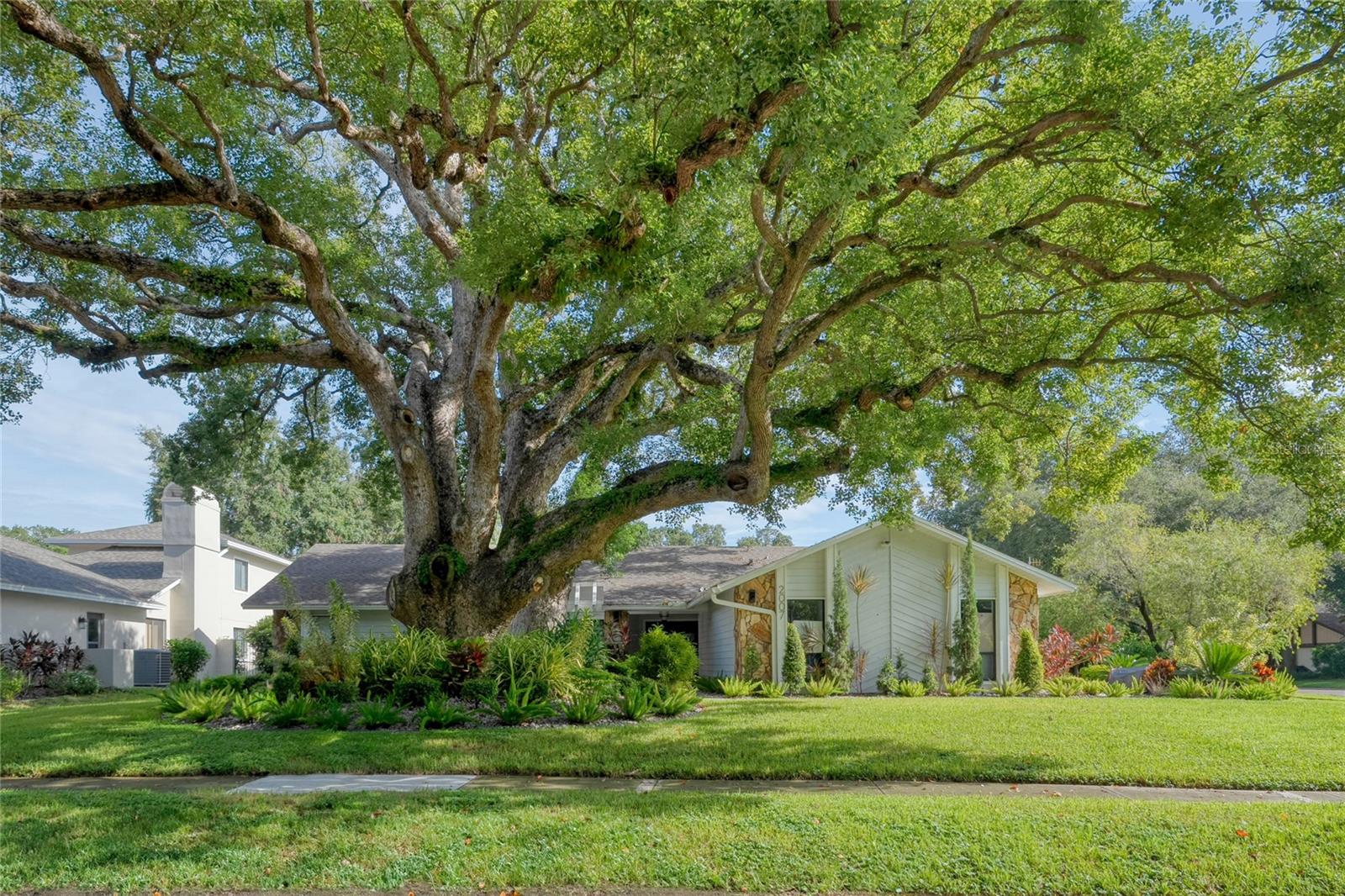 2007 MAGDALENE MANOR DR, TAMPA, FL, 33613