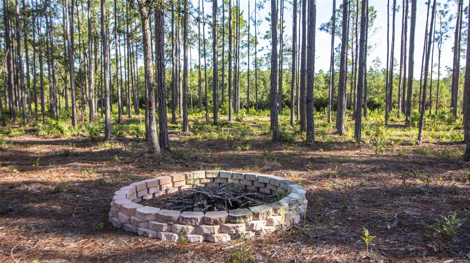120 NEAL RD, HAWTHORNE, FL, 32640