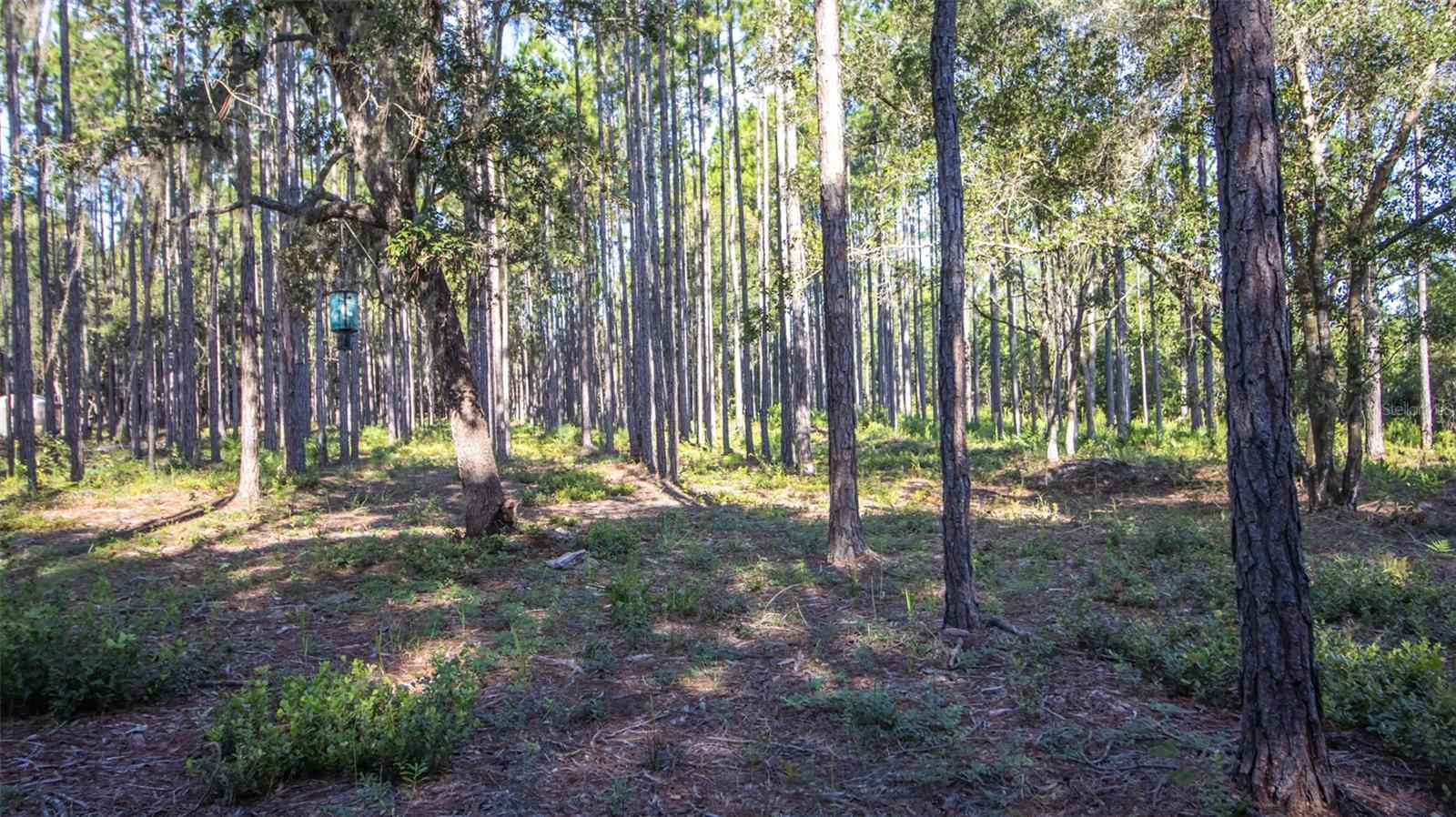 120 NEAL RD, HAWTHORNE, FL, 32640