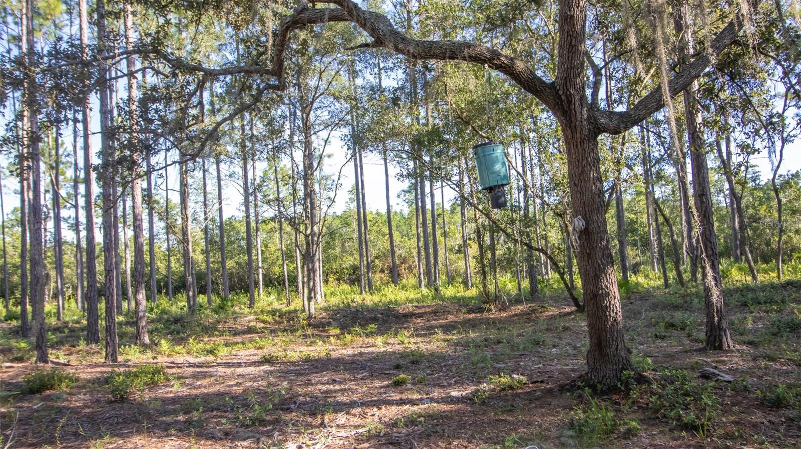 120 NEAL RD, HAWTHORNE, FL, 32640