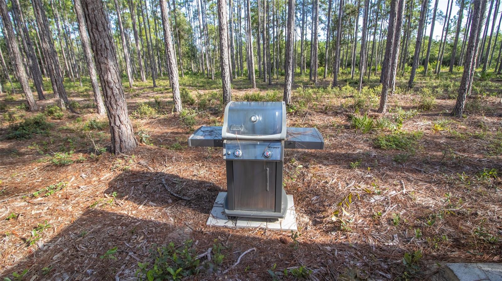 120 NEAL RD, HAWTHORNE, FL, 32640