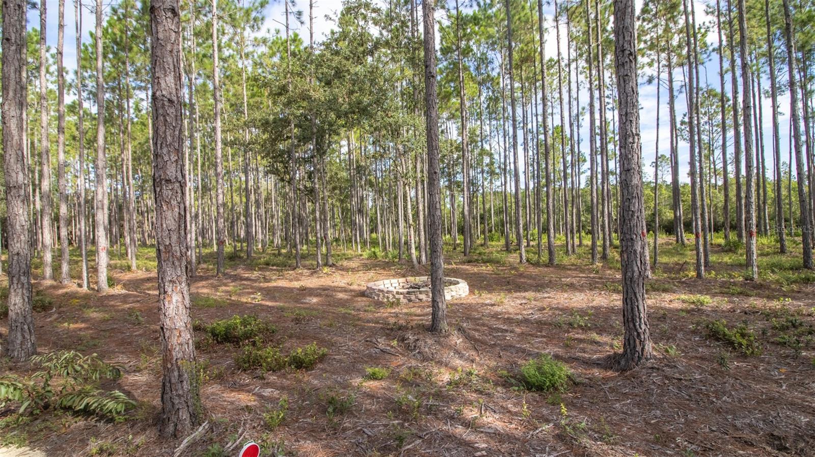 120 NEAL RD, HAWTHORNE, FL, 32640