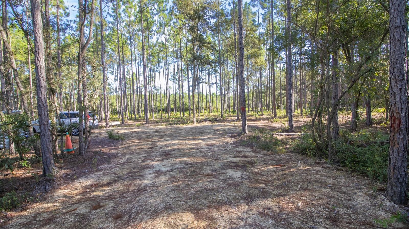 120 NEAL RD, HAWTHORNE, FL, 32640