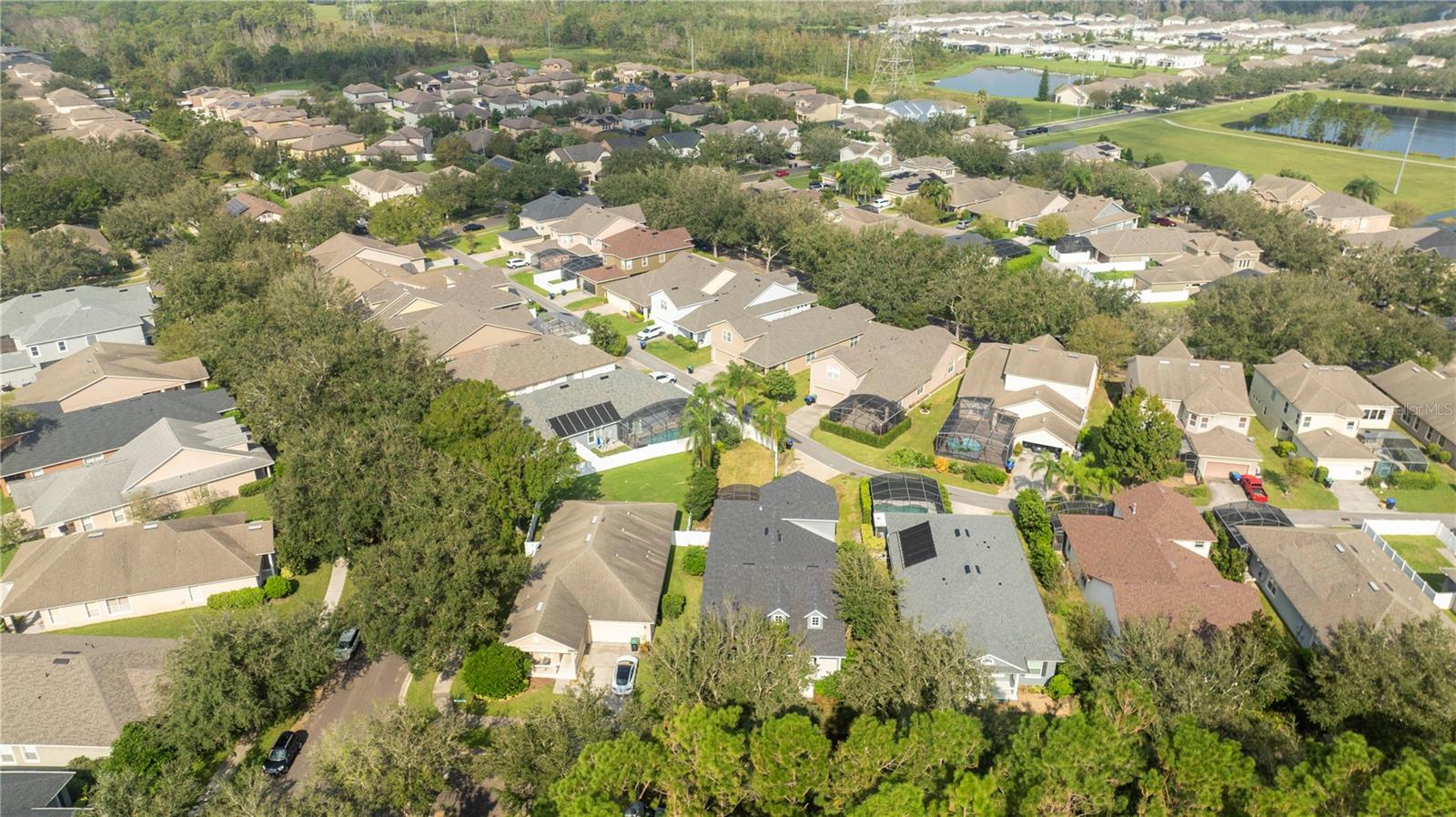 7036 MAPPERTON DR, WINDERMERE, FL, 34786