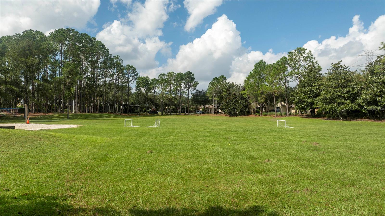 7036 MAPPERTON DR, WINDERMERE, FL, 34786