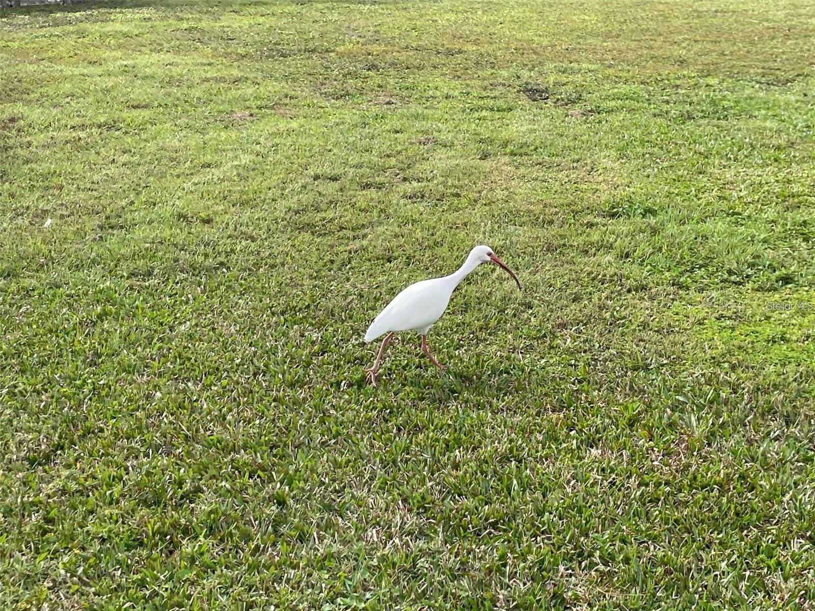 TB8311361 Property Photo